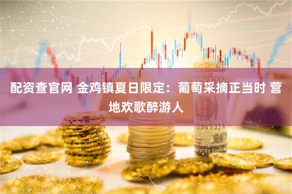 配资查官网 金鸡镇夏日限定：葡萄采摘正当时 营地欢歌醉游人